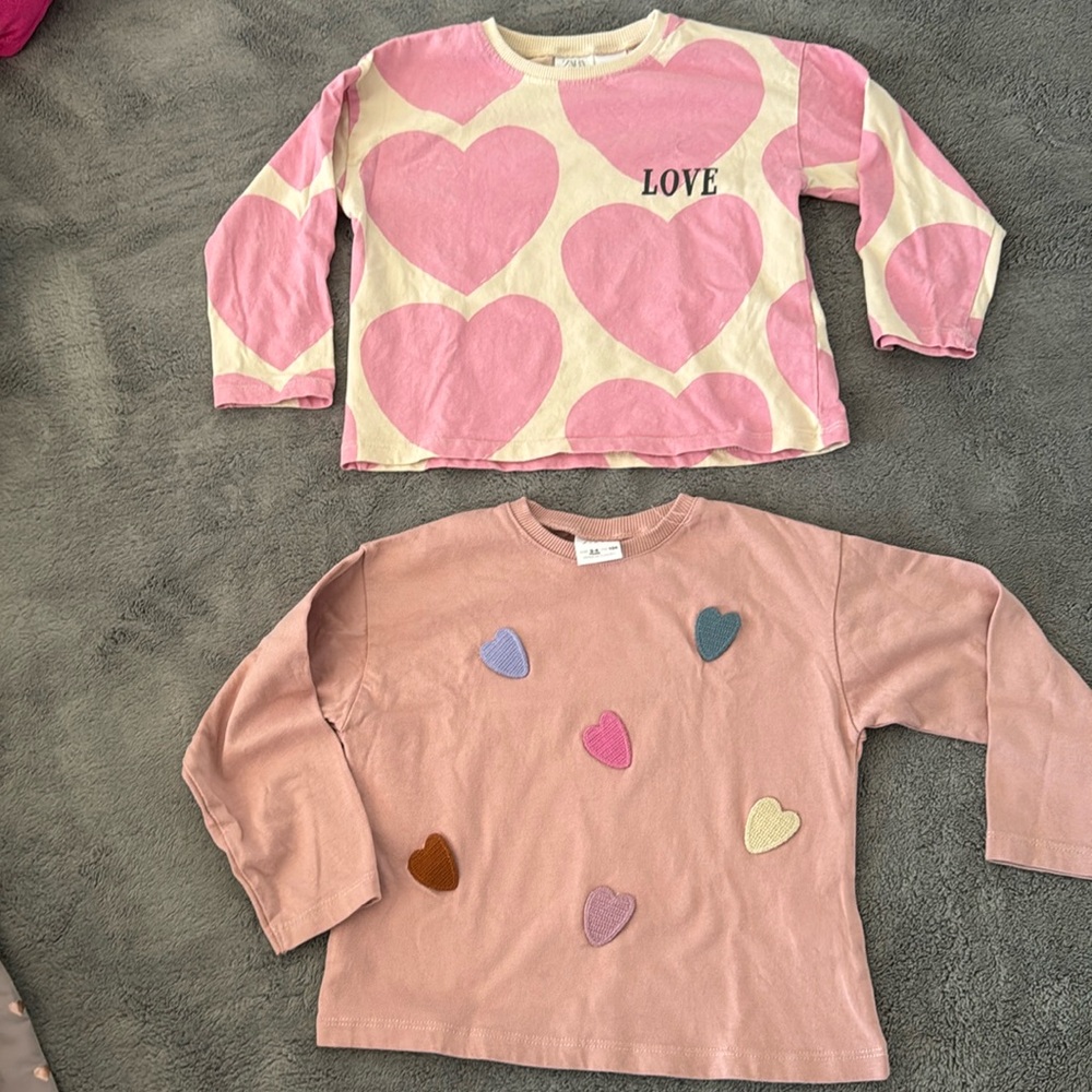 Bundle of 2 Zara Long Sleeve Tops